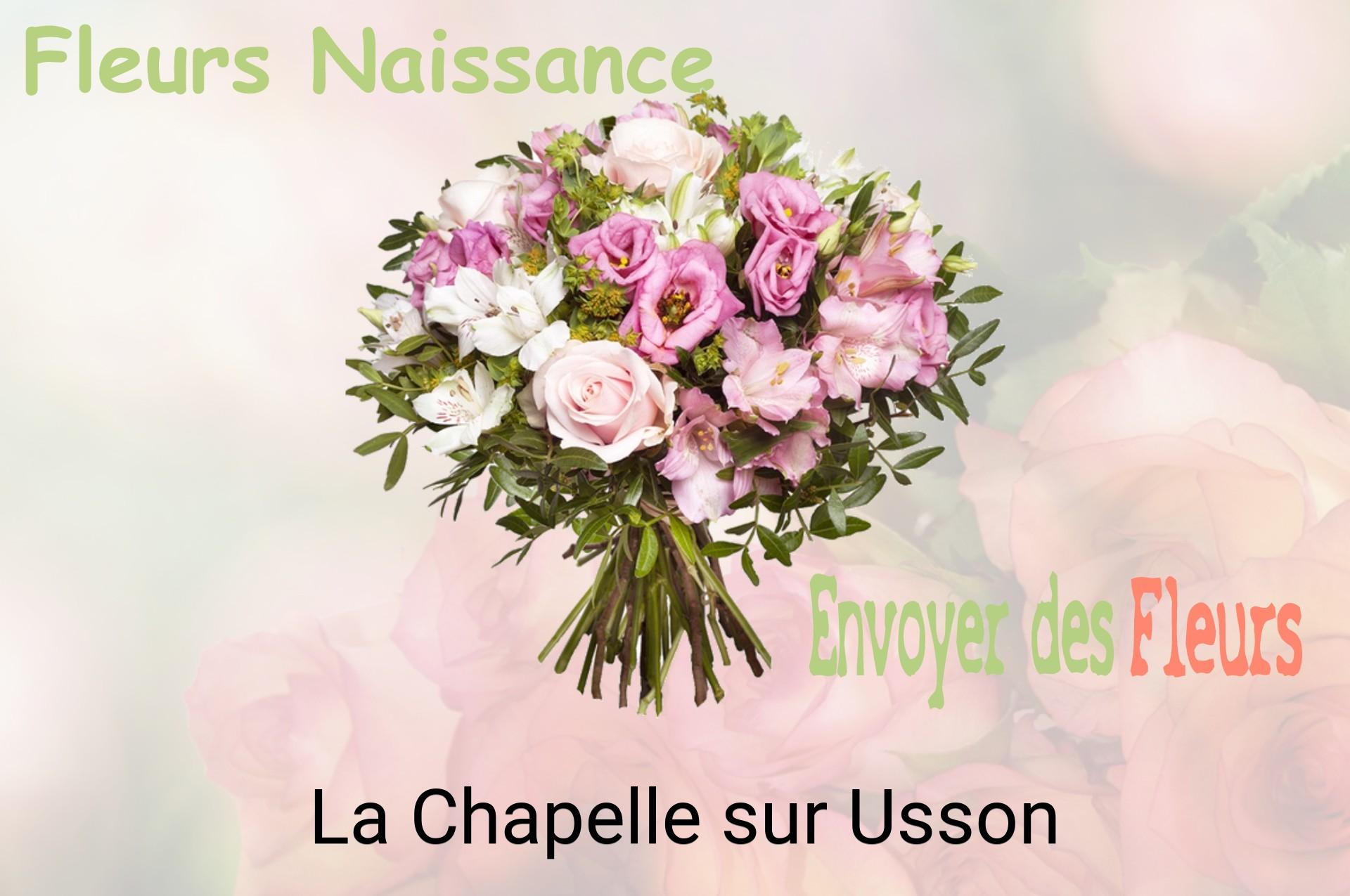 Bouquet de fleurs de naissance livré à La Chapelle-sur-Usson